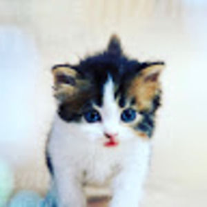 Meet your Posher, Janell